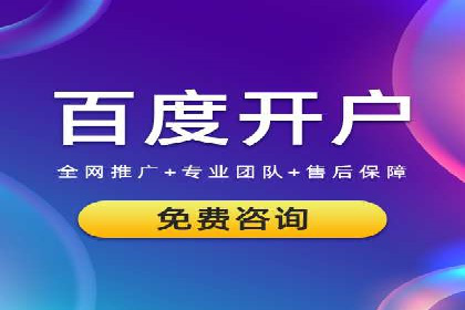 SEM竞价推广案例：电商行业成功案例解析